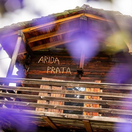 Korn-Stadel Arida Prata "Natur Pur" グレヘン エクステリア 写真